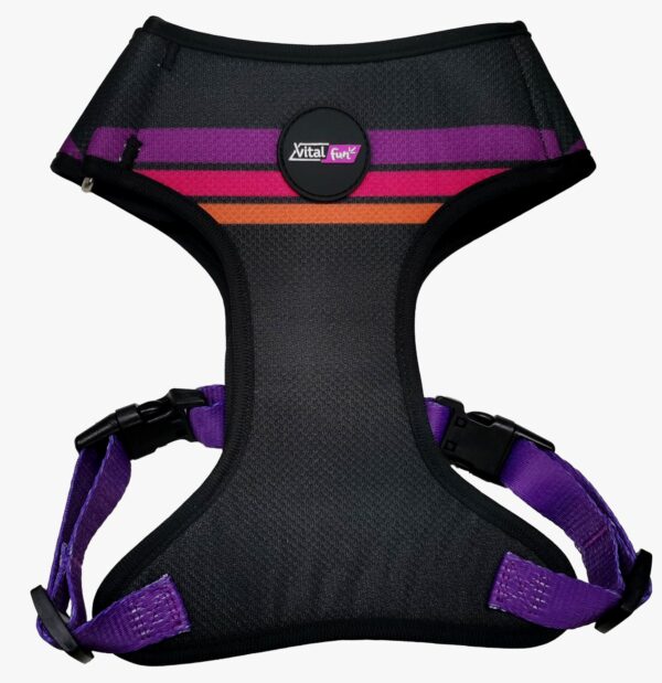 ARNES AIR MESH MINIMAL BLACK - Imagen 2