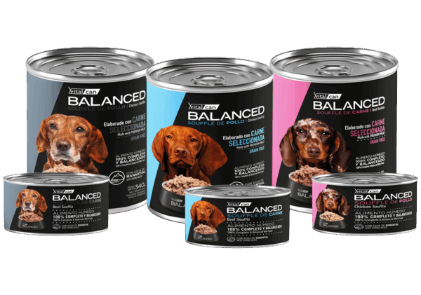 VITAL CAN BALANCE SOUFFLE PERRO